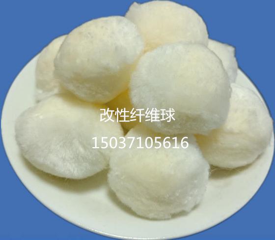 �����w�S��